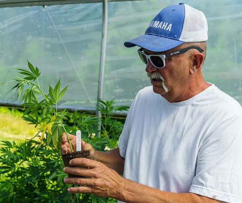 One Gummy, Six States, Zero Shortcuts: The Hidden Supply Chain Behind Your CBD